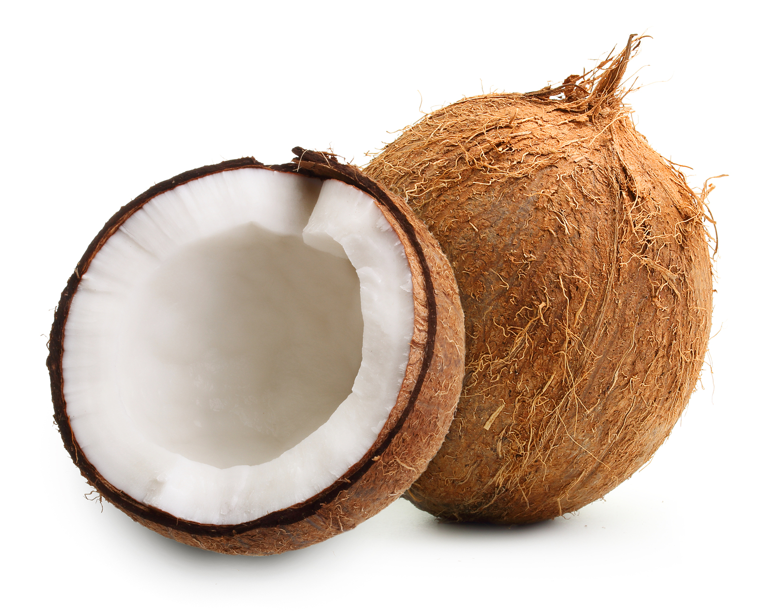Coconut Net Worth