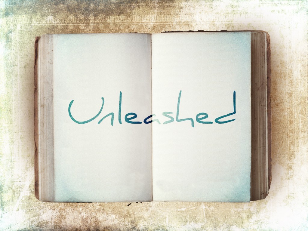 Unleashed_seriesart-1024x768
