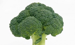 AJ6T2X Broccoli