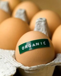 organic_eggs11