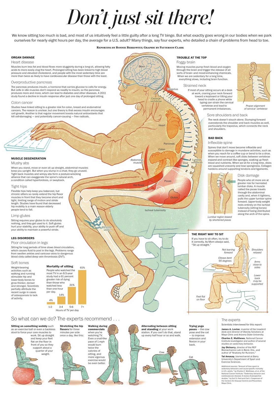This is What Sitting Too Long Does to Your Body | Circle of Docs