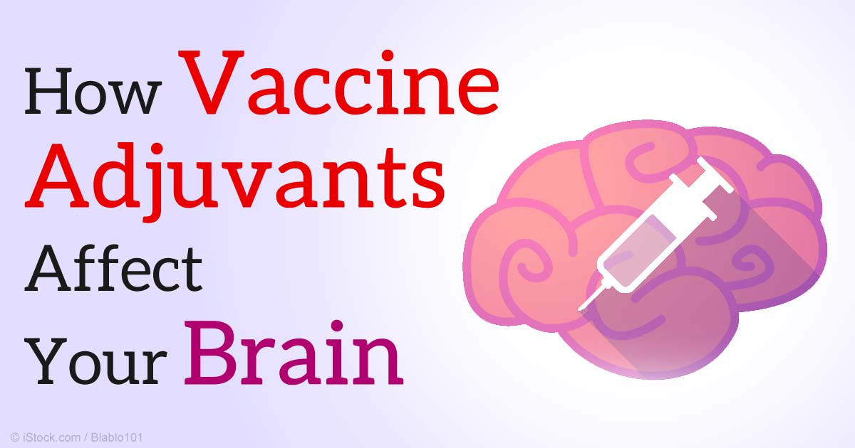 How Vaccine Adjuvants Affect Your Brain | Circle of Docs
