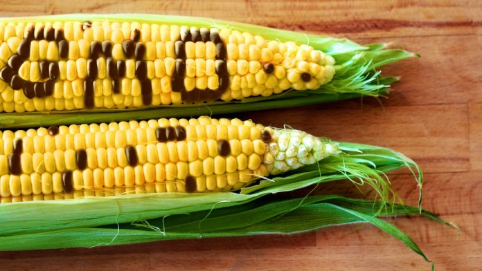 Doctors Confirm First Human Death Officially Caused By GMO's 