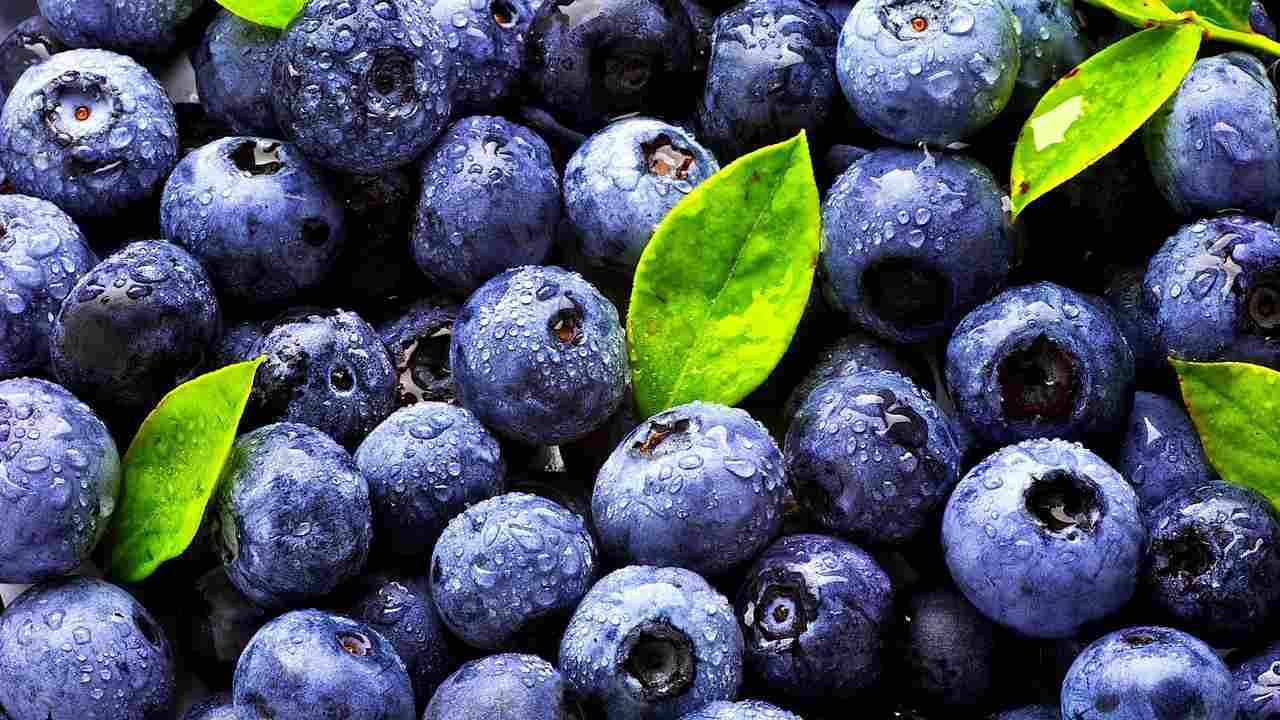 10 Best Superfoods To Kick Start Your Day Circle Of Docs