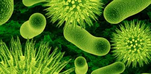 WATCH: Bacteria Invade Antibiotics And Transform Into Superbugs 