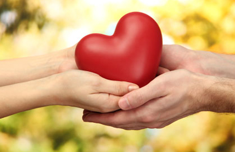 Can Chiropractic Care Prevent or Treat Cardiovascular Disease 